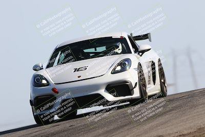 media/Jun-01-2025-PCA Golden Gate (Sun) [[9e4b10205a]]/Red/Session 1 (Grapevine)/